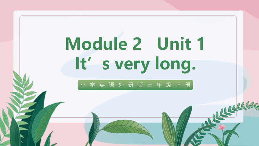 Module 2 Unit 1 It’s very long课件(共20张PPT)