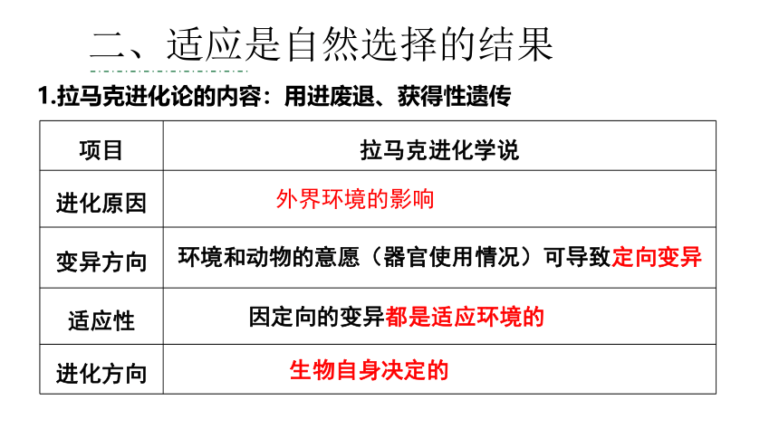 6.2 自然选择与适应的形成 课件（24张PPT）