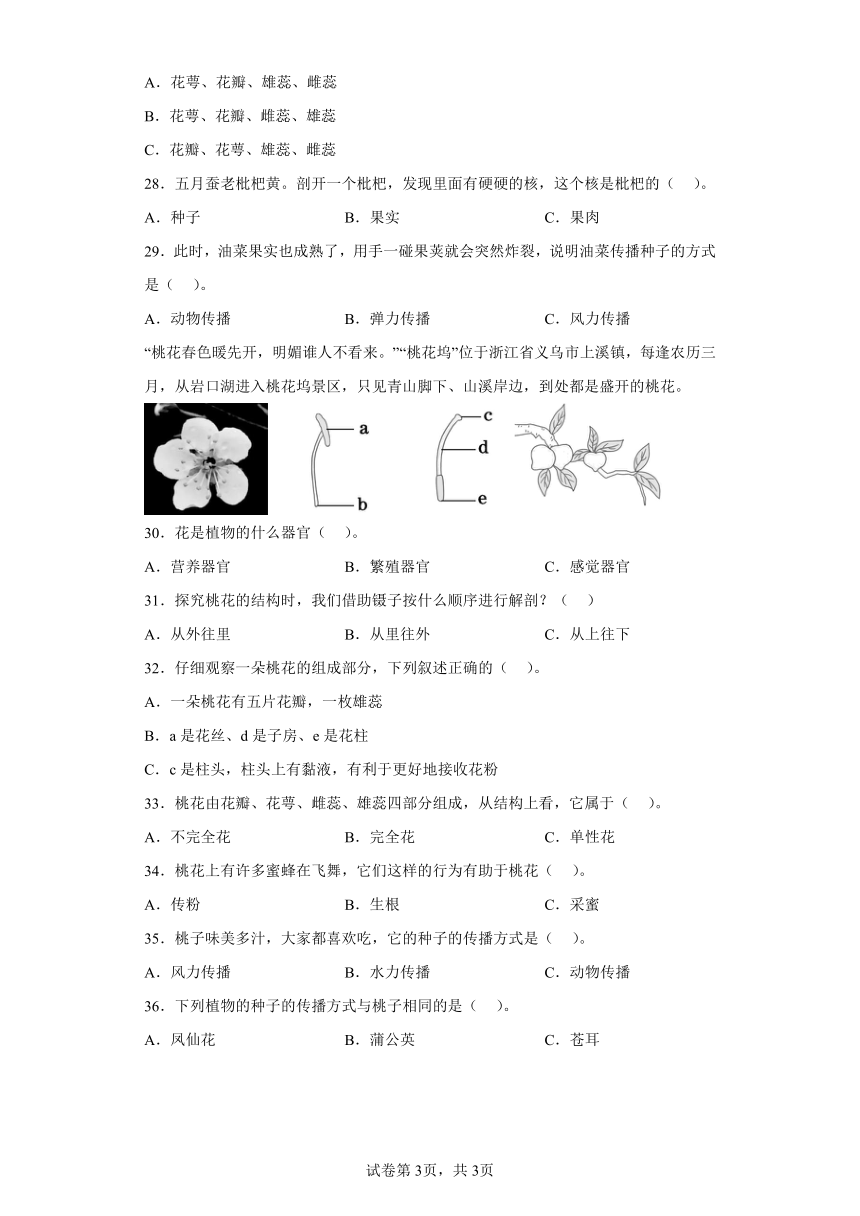 教科版（2017秋）四年级下册科学1.7.种子的传播练习题（含答案）