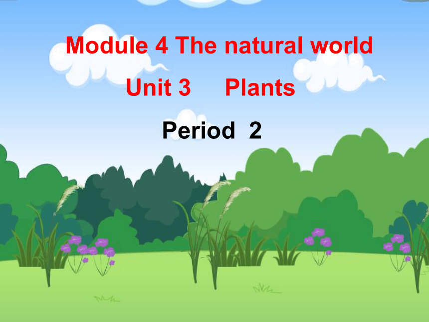 Module 4 Unit 3 Plants Period 2 课件(共15张PPT)