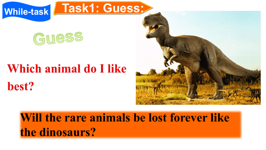 Unit 5 Wild animals Task： A report on an animal in danger 课件（39张PPT 内嵌视频）