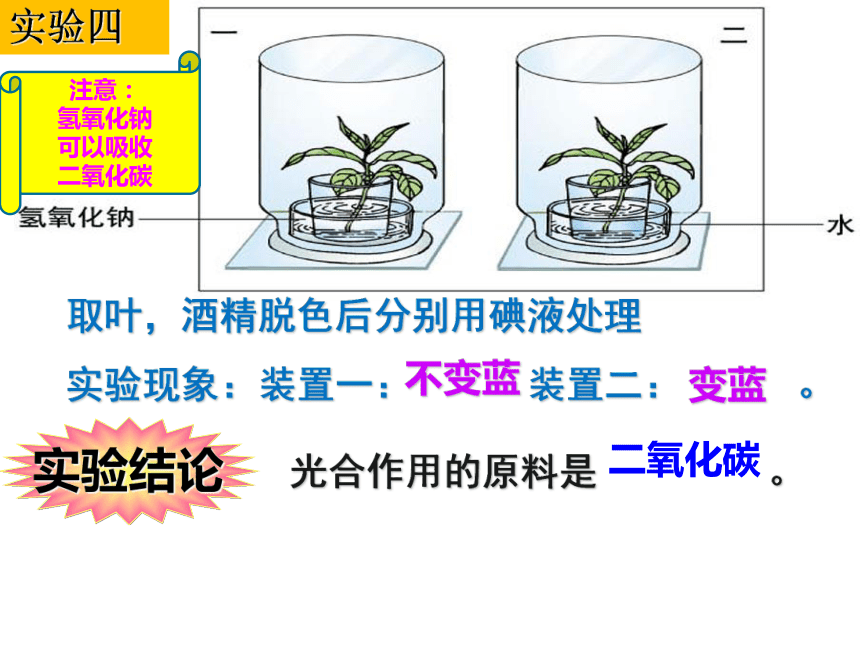 2021-2022学年人教版生物七年级上册3.5 绿色植物与生物圈中的碳—氧平衡（复习课）课件(共33张PPT)