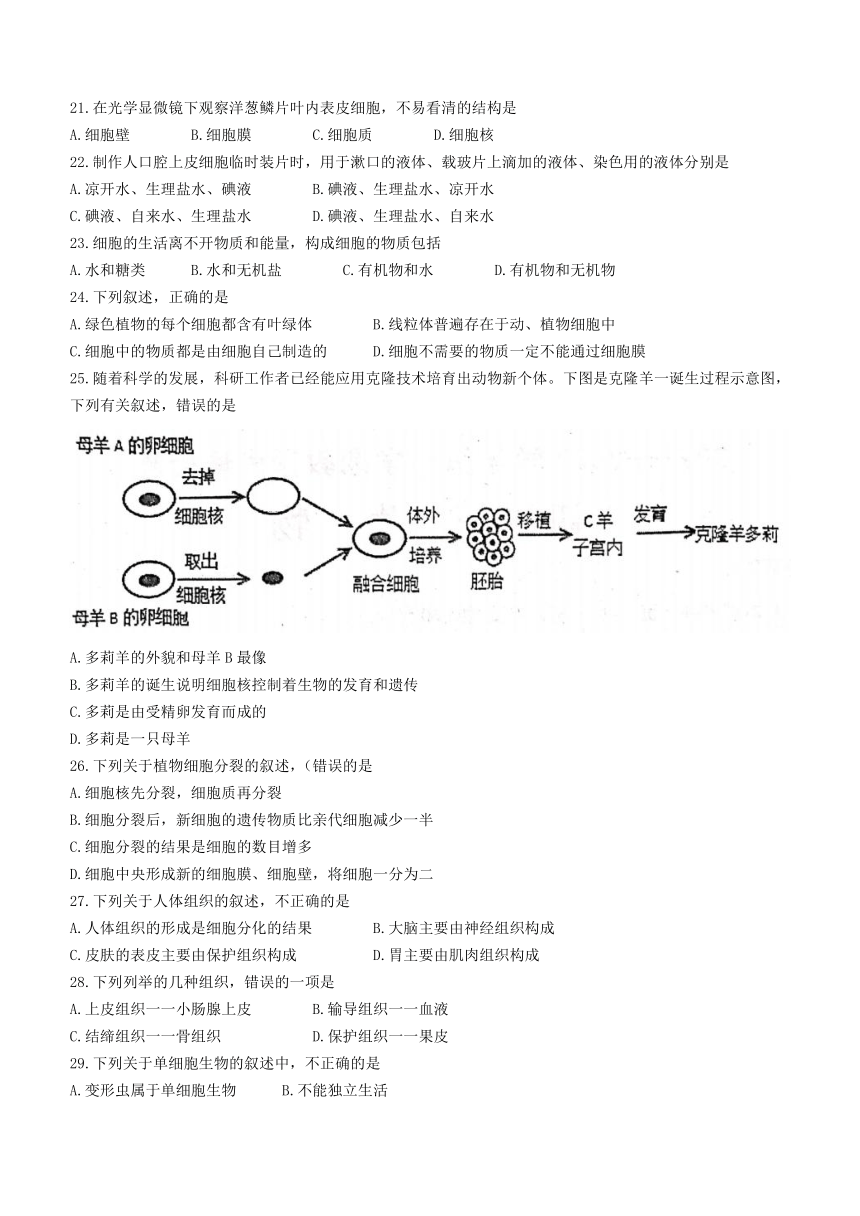 山东省威海市文登区2021-2022学年六年级上学期期末生物试题（word版 含答案）