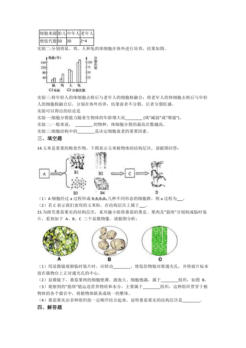 2.3生物体的结构层次 同步练习（含解析）