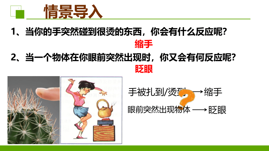 3.5.3神经调节的基本方式课件(共28张PPT+内嵌视频1个)2022-2023学年济南版生物七年级下册