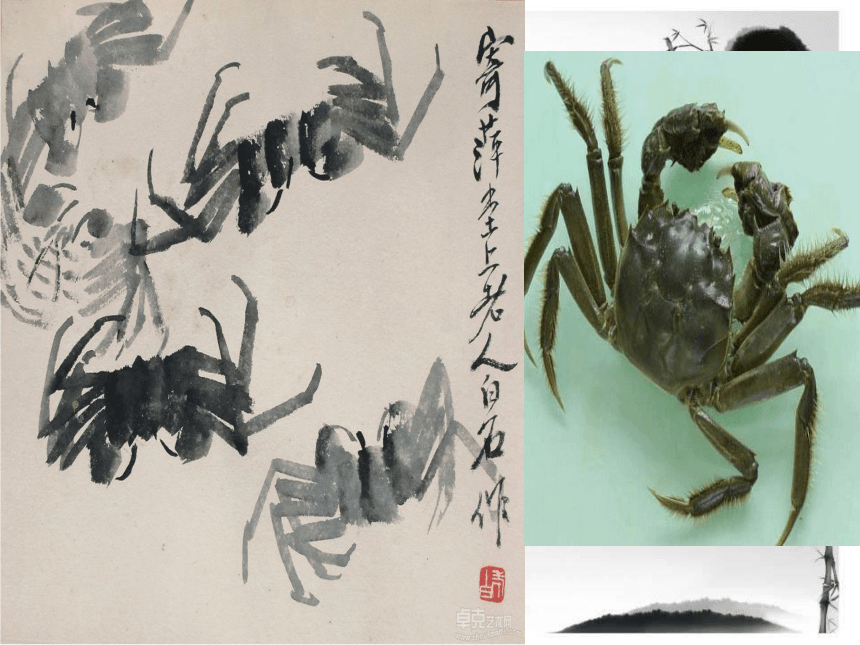 湘美版 五年级上册 美术 第6课 水墨动物 课件（共22张PPT）