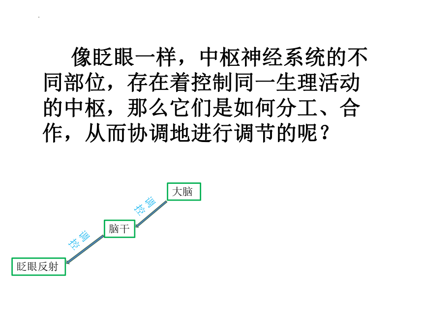 生物人教版（2019）选择性必修1 2.4神经系统的分级调节（共31张ppt）