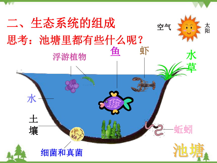 济南版生物八年级下册 第六单元 第二章 第一节生态系统的组成课件(共22张PPT)