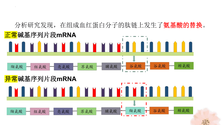生物人教版（2019）必修2 5.1基因突变和基因重组（共37张ppt）