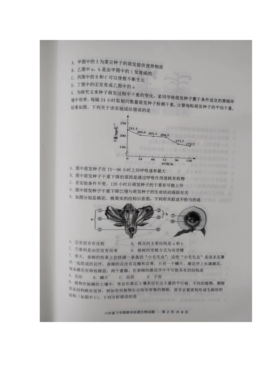 山东省泰安市新泰市2022-2023学年六年级下学期7月期末生物试题（图片版 无答案）