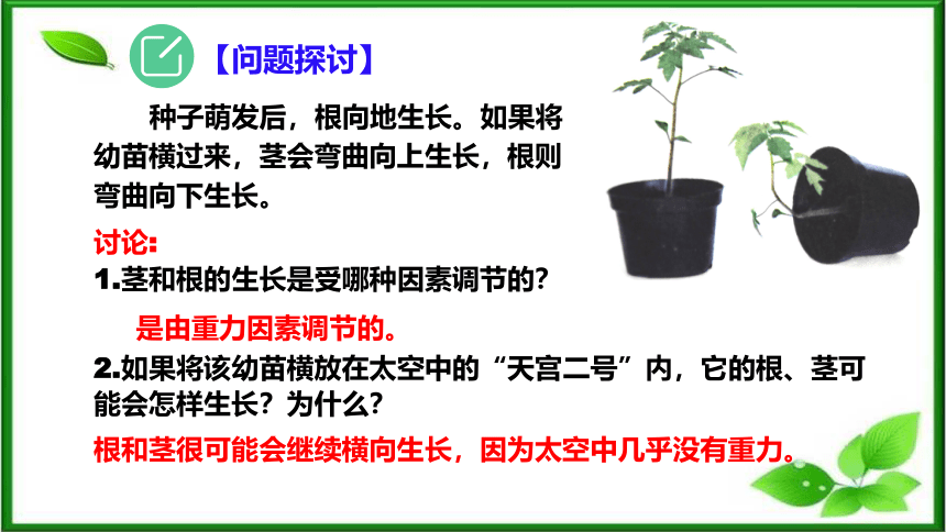 2021-2022学年高二上学期生物人教版选择性必修1-5.4环境因素参与调节植物的生命活动课件（45张ppt）