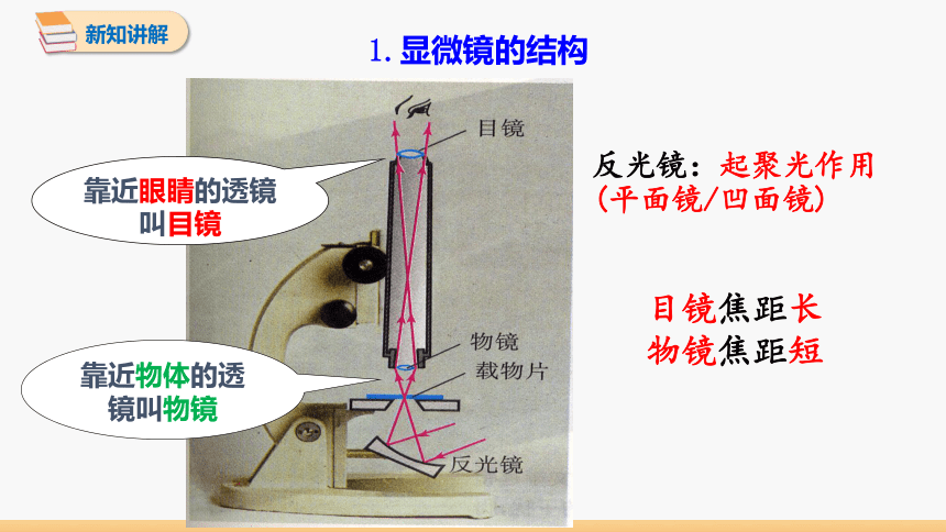 初中物理人教版八年级上册 第五章 第5节 显微镜和望远镜 同步课件 (共28张PPT)