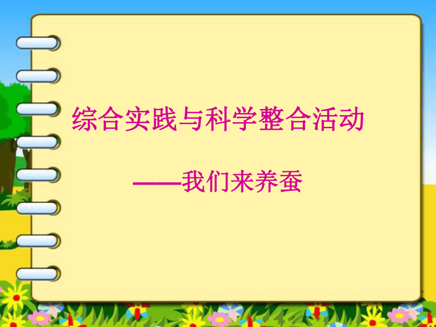 我们来养蚕（课件） 综合实践活动三年级上册 教科版（36张PPT）