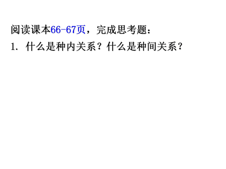 北师大版八年级下册23.1生物的生存依赖一定的环境课件(共19张PPT)