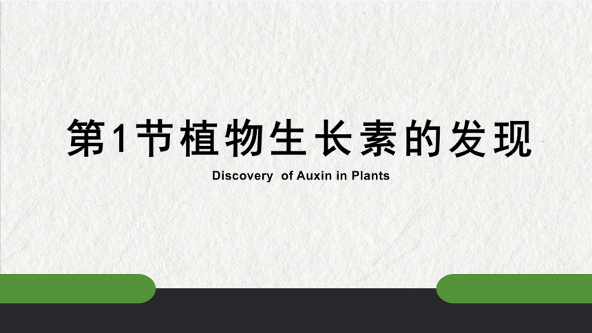 2020-2021学年高二上学期生物人教版必修3-3.1植物生长素的发现说课课件(共23张PPT)