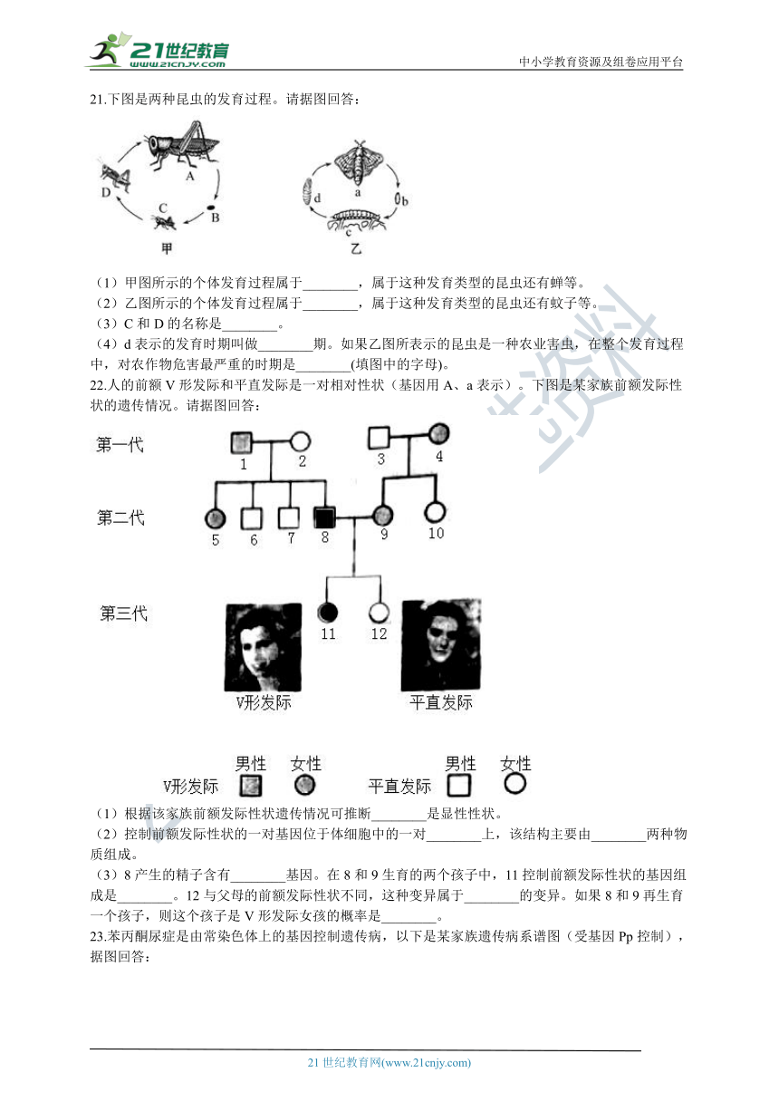 初中生物苏教版八年级下册期末模拟测试（含解析）