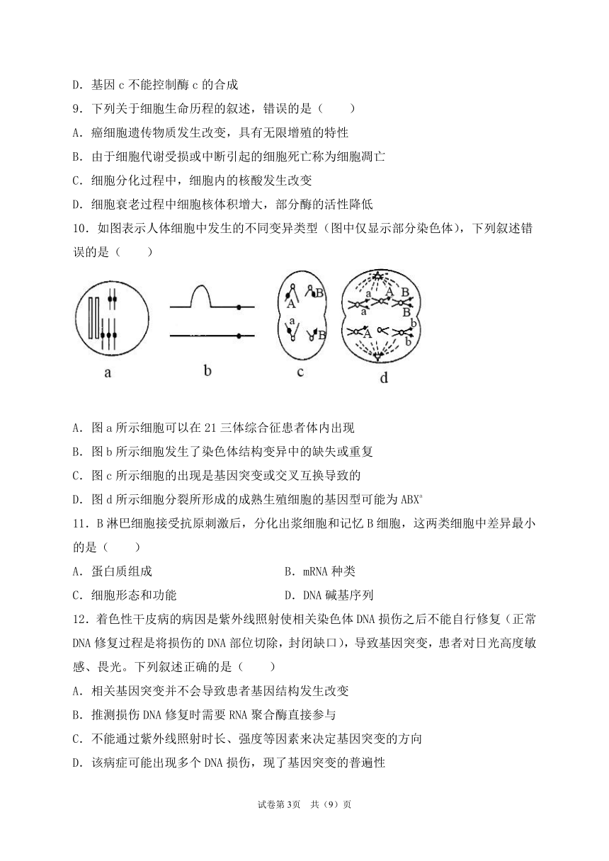 黑龙江省齐齐哈尔三立高中2020-2021学年高一下学期6月月考生物试题    含答案