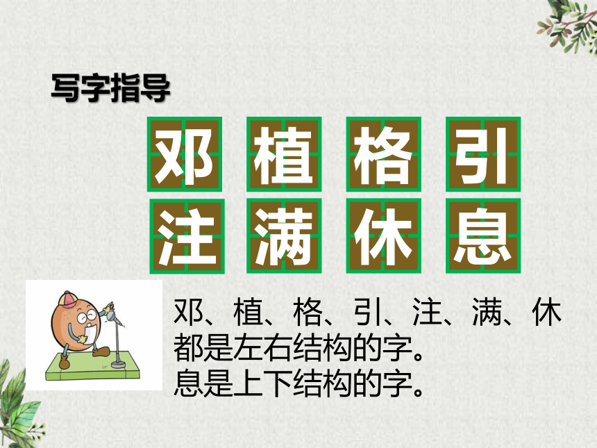 4 邓小平爷爷植树  课件(共21张PPT)