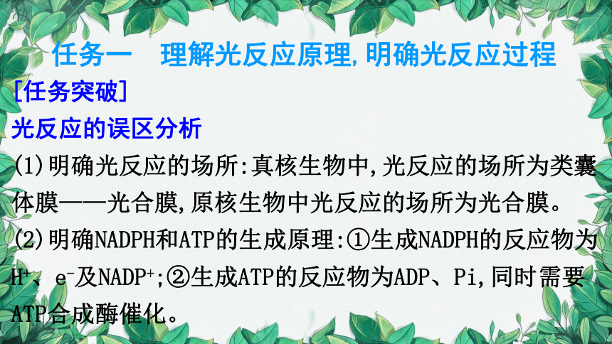 浙科版（2019）生物必修一 第三章第五节课时2 光反应与碳反应的基本过程课件(共36张PPT)