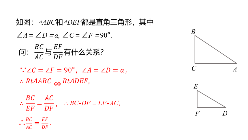 湘教版九年级上册4.2  正切课件（共20张PPT）