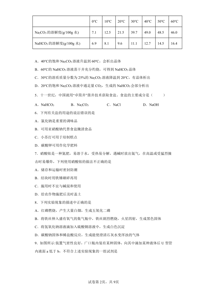 11.1生活中常见的盐同步练习-2021-2022学年九年级化学人教版下册（word版有答案）