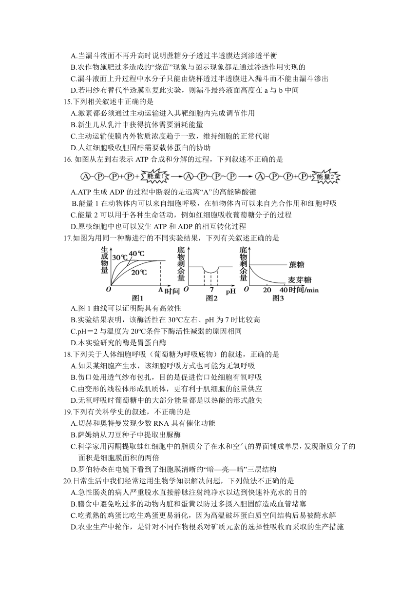 四川省绵阳市涪城区南山双语中学校2021-2022学年高一上学期12月月考生物试题（Word版含答案）