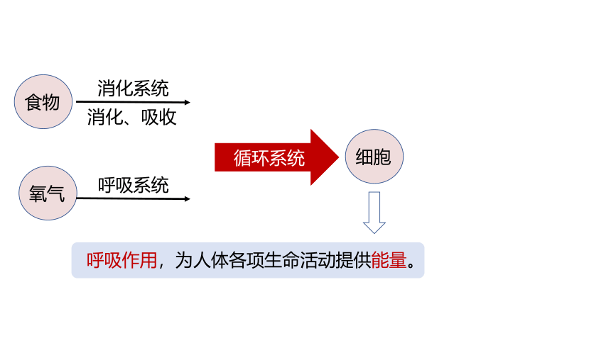 4.4 能量的获得(课件 21张PPT)