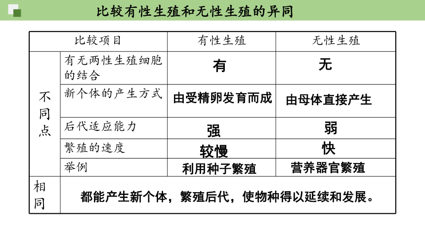 7.1.2昆虫的生殖和发育课件(共22张PPT) 人教版生物八年级下册