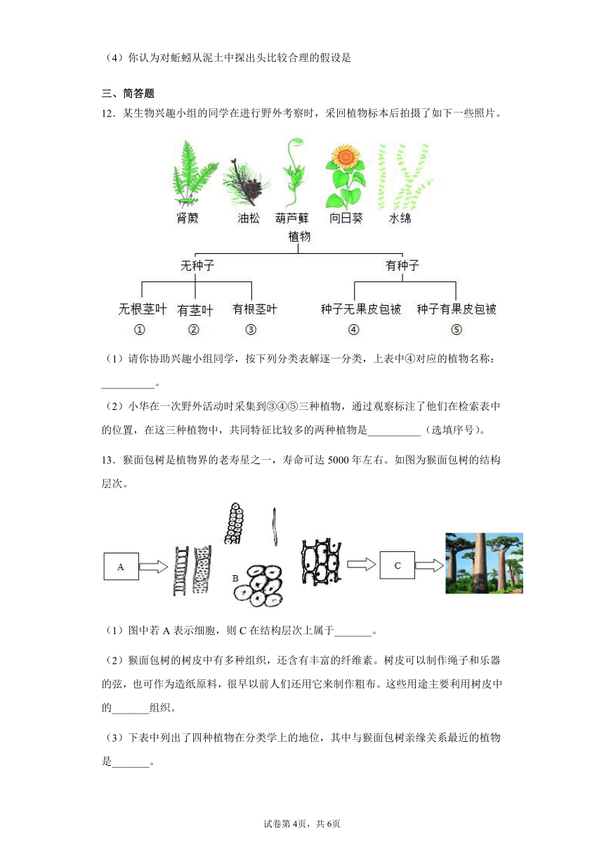 2.5常见的植物 过关练习（含解析）