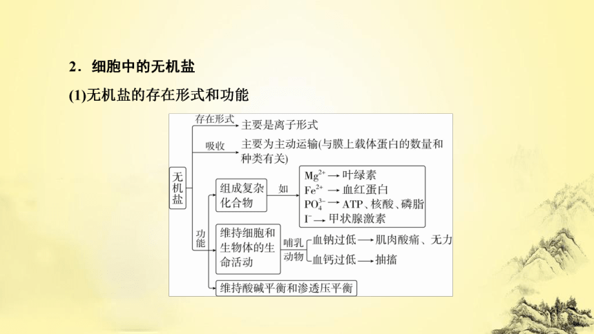 新人教生物二轮复习课件1 细胞的分子组成(共60张PPT)