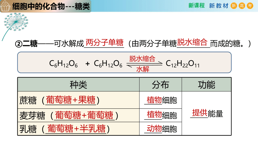 2.3 细胞中的糖类和脂质(2课时）(课件共22张PPT)