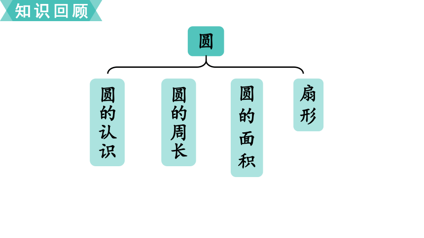 （2022秋季新教材）人教版 六年级上册5.8  整理和复习 课件(共18张PPT)