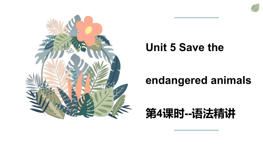 Unit5 Save the endangered animals第4课时语法讲解：形容词的句型结构-牛津深圳版（广州沈阳通用）八年级英语下册课件(共16张PPT)
