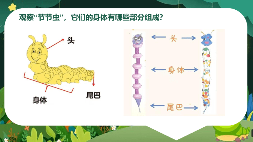 第6课 节节虫（课件）(共14张PPT 内嵌视频)人美版 美术二年级下册