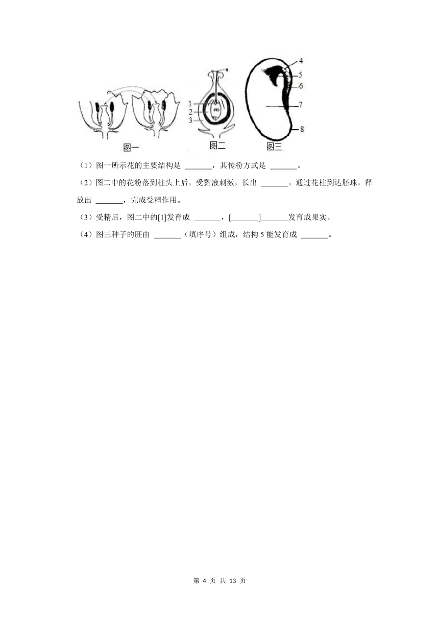 五年山东中考生物真题分类汇编---被子植物的一生（含解析）