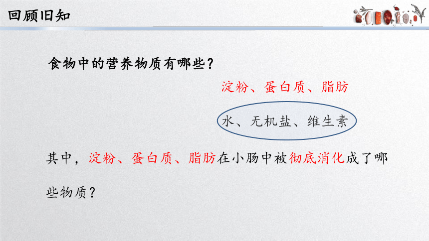 2.1.3营养物质的吸收和利用课件（(共26张PPT+内嵌视频1个)）2022-2023学年冀少版七年级生物下册