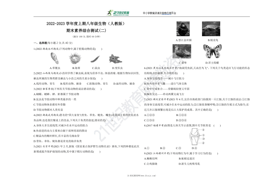 2022-2023学年度上期八年级生物（人教版）期末素养综合测试(二)（含解析）