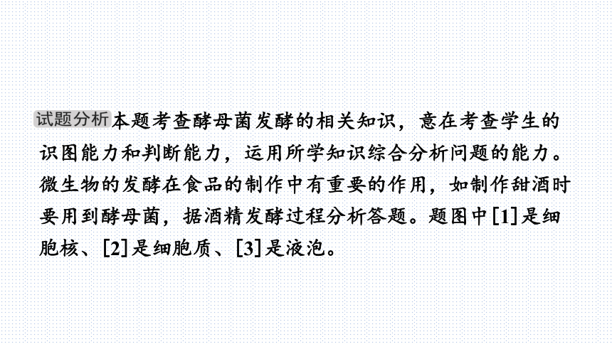 2024年人教版八年级生物全册复习课件(共39张PPT)  科学探究与跨学科实践