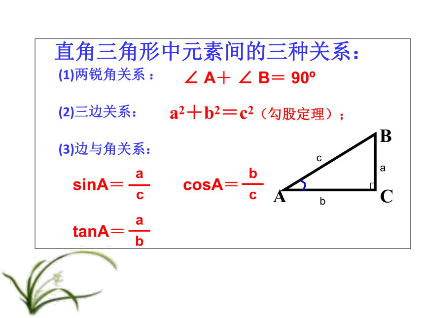 华东师大版数学九年级上册 24.4 解直角三角形（共29张ppt）