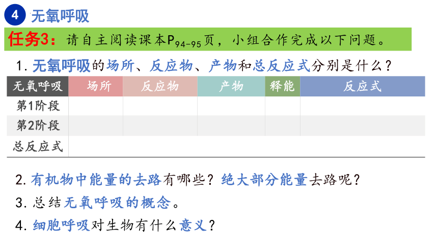 5.3细胞呼吸的原理和应用（第3课时）(课件共16张PPT)