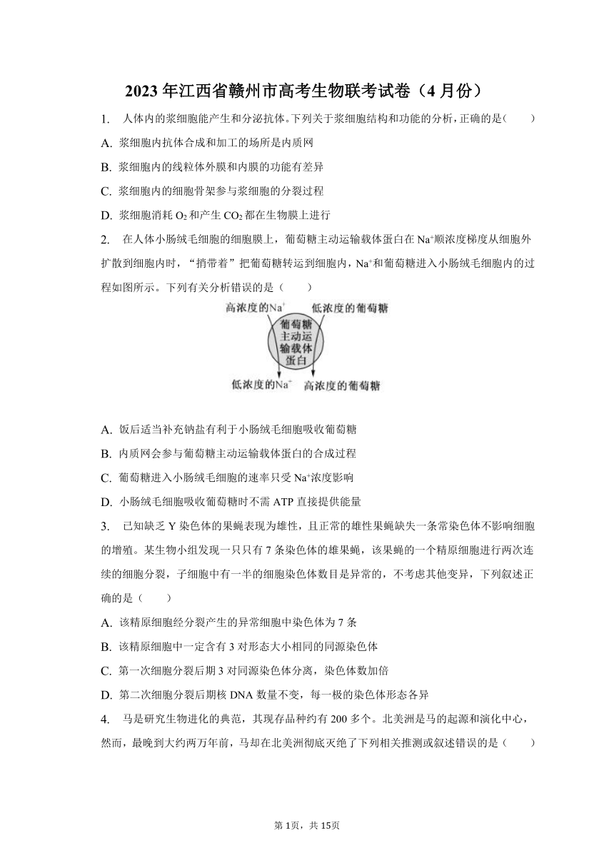 2023年江西省赣州市高考生物联考试卷-普通用卷（含解析）