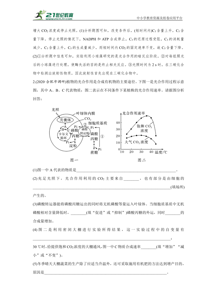 【生物新高考一轮复习】热点微练11　光合作用与细胞呼吸的综合运用（word版含解析）