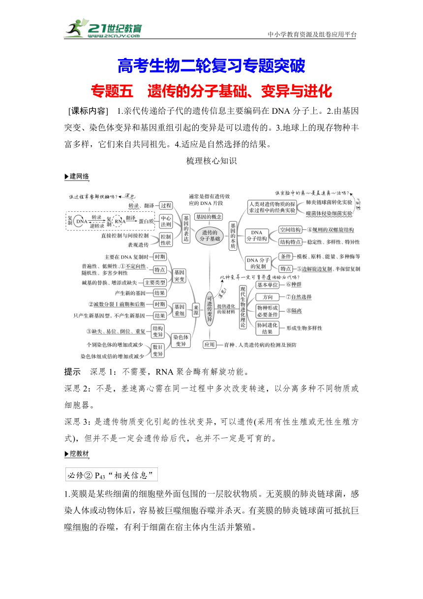 【高考生物二轮复习专题突破学案】专题5 遗传的分子基础、变异与进化（含答案）