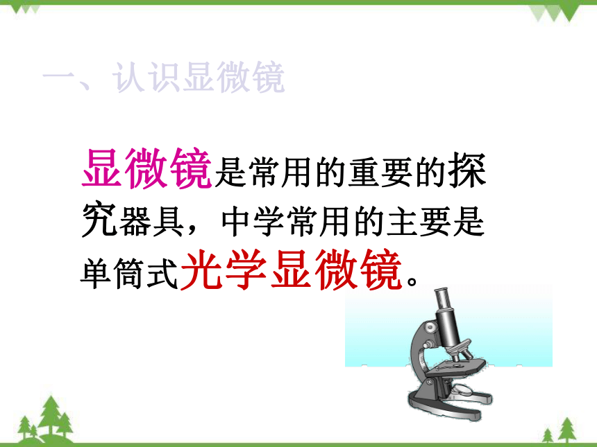 苏教版生物七年级上册 1.2.1探索生命的器具2课件(共19张PPT)