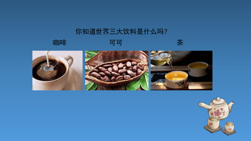 4《壶趣》基于标准的教学课件(共14张PPT)