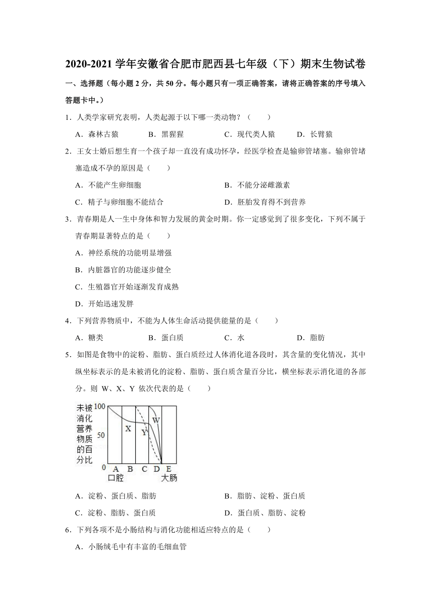 安徽省合肥市肥西县2020-2021学年七年级下学期期末生物试卷(word版含解析）