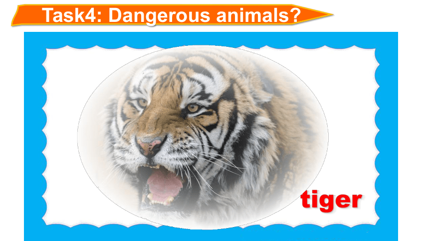 Unit 5 Wild animals Task： A report on an animal in danger 课件（39张PPT 内嵌视频）