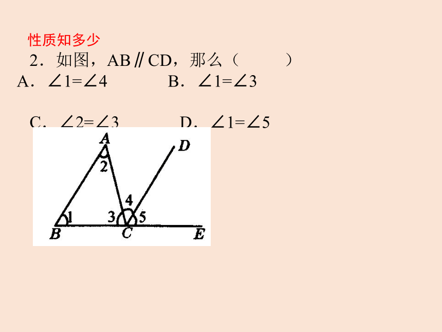 7.3平行线的性质(复习)  课件（共24张PPT）