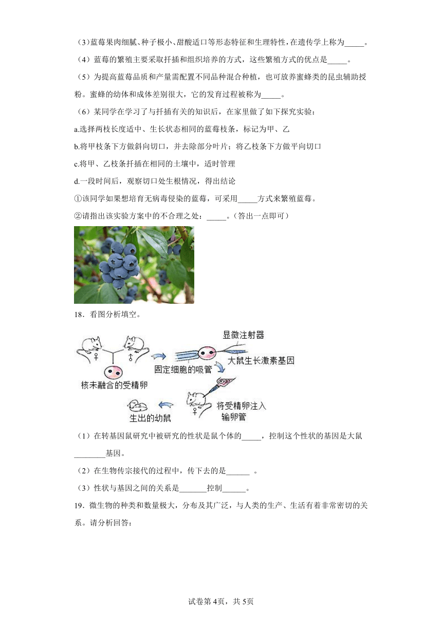 人教版八年级下册7.2.1基因控制生物的性状（word版 含解析）