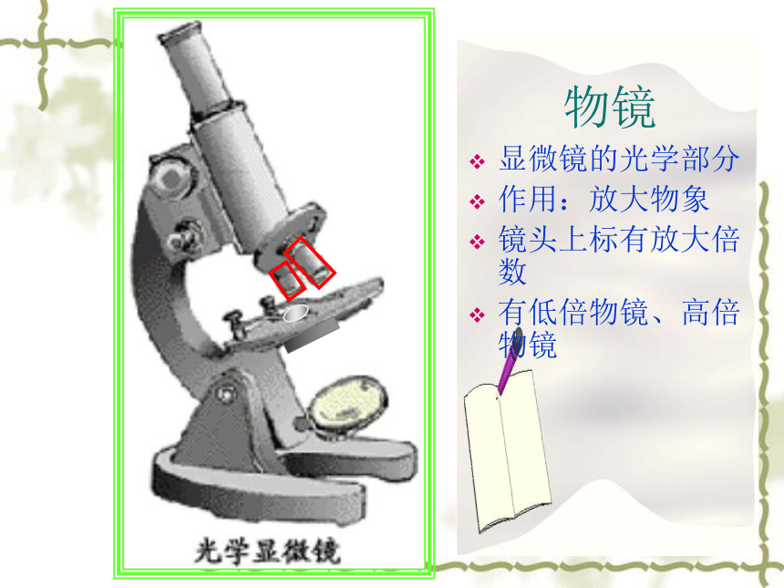 人教版七年级上册生物学2.1.1练习使用显微镜课件(共39张PPT)